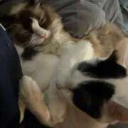 ヒメ日記 2025/04/30 02:31 投稿 ミヤ ツートップ