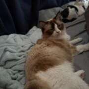 ヒメ日記 2025/04/30 19:46 投稿 ミヤ ツートップ