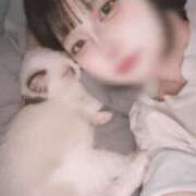 ヒメ日記 2025/05/23 02:31 投稿 ミヤ ツートップ