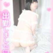 ヒメ日記 2025/06/13 07:36 投稿 ミヤ ツートップ