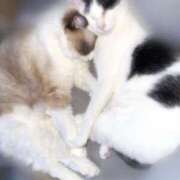 ヒメ日記 2025/06/18 15:51 投稿 ミヤ ツートップ