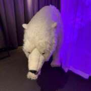 ヒメ日記 2025/08/16 08:11 投稿 ミヤ ツートップ