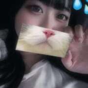 ヒメ日記 2025/12/15 19:46 投稿 ミヤ ツートップ