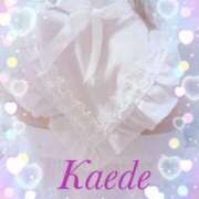 ヒメ日記 2025/03/15 14:09 投稿 かえで 激安ピーチ