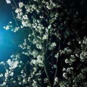 ヒメ日記 2025/03/30 17:59 投稿 かえで 激安ピーチ