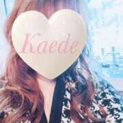 ヒメ日記 2025/04/02 16:25 投稿 かえで 激安ピーチ