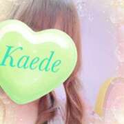 ヒメ日記 2025/04/07 14:30 投稿 かえで 激安ピーチ