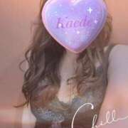 ヒメ日記 2025/04/08 13:59 投稿 かえで 激安ピーチ