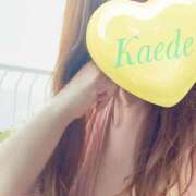 ヒメ日記 2025/04/17 23:59 投稿 かえで 激安ピーチ