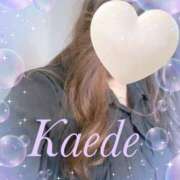 ヒメ日記 2025/04/21 14:14 投稿 かえで 激安ピーチ