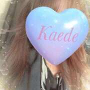 ヒメ日記 2025/04/26 21:39 投稿 かえで 激安ピーチ