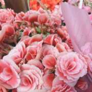 ヒメ日記 2025/05/09 21:49 投稿 かえで 激安ピーチ