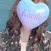 ヒメ日記 2025/05/15 14:14 投稿 かえで 激安ピーチ