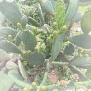 ヒメ日記 2025/05/26 17:59 投稿 かえで 激安ピーチ