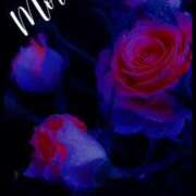 ヒメ日記 2025/05/27 07:39 投稿 かえで 激安ピーチ