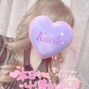 ヒメ日記 2025/05/28 13:49 投稿 かえで 激安ピーチ