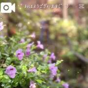 ヒメ日記 2025/06/04 07:39 投稿 かえで 激安ピーチ