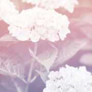 ヒメ日記 2025/06/08 08:59 投稿 かえで 激安ピーチ