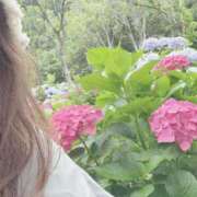 ヒメ日記 2025/06/08 20:09 投稿 かえで 激安ピーチ