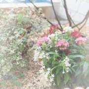 ヒメ日記 2025/06/11 12:49 投稿 かえで 激安ピーチ