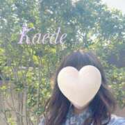 ヒメ日記 2025/06/29 17:01 投稿 かえで 激安ピーチ