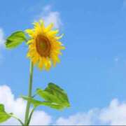 ヒメ日記 2025/07/10 18:16 投稿 かえで 激安ピーチ