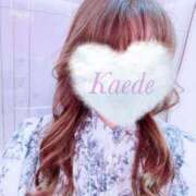 ヒメ日記 2025/08/15 20:49 投稿 かえで 激安ピーチ