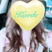 ヒメ日記 2025/08/16 17:29 投稿 かえで 激安ピーチ