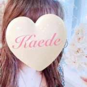 ヒメ日記 2025/09/08 19:39 投稿 かえで 激安ピーチ