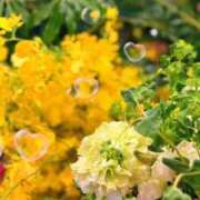 ヒメ日記 2025/09/13 10:49 投稿 かえで 激安ピーチ