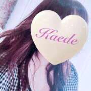 ヒメ日記 2025/09/15 19:59 投稿 かえで 激安ピーチ