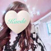 ヒメ日記 2025/09/16 15:12 投稿 かえで 激安ピーチ