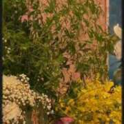 ヒメ日記 2025/09/20 10:29 投稿 かえで 激安ピーチ