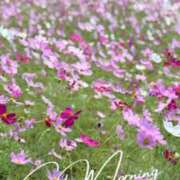 ヒメ日記 2025/10/22 09:09 投稿 かえで 激安ピーチ