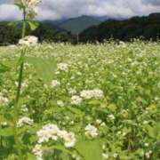 ヒメ日記 2025/11/12 20:26 投稿 かえで 激安ピーチ