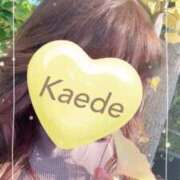 ヒメ日記 2025/11/19 10:09 投稿 かえで 激安ピーチ