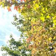 ヒメ日記 2025/11/20 11:49 投稿 かえで 激安ピーチ