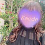 ヒメ日記 2025/12/01 20:34 投稿 かえで 激安ピーチ