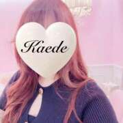 ヒメ日記 2026/01/08 17:09 投稿 かえで 激安ピーチ