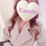 ヒメ日記 2026/01/24 14:39 投稿 かえで 激安ピーチ