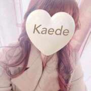 ヒメ日記 2026/01/24 19:29 投稿 かえで 激安ピーチ