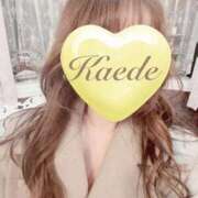 ヒメ日記 2026/02/09 19:49 投稿 かえで 激安ピーチ