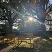 ヒメ日記 2026/02/15 06:49 投稿 かえで 激安ピーチ