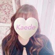 ヒメ日記 2026/02/16 23:09 投稿 かえで 激安ピーチ