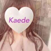 ヒメ日記 2026/02/27 02:49 投稿 かえで 激安ピーチ