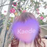 ヒメ日記 2026/04/09 13:49 投稿 かえで 激安ピーチ