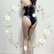 ヒメ日記 2025/03/15 11:33 投稿 湊(みなと) 八王子人妻城