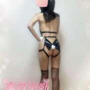 ヒメ日記 2026/03/19 07:12 投稿 湊(みなと) 八王子人妻城