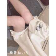 ヒメ日記 2024/12/13 10:10 投稿 奏音 ねいろ Canx2京都店