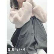 ヒメ日記 2025/02/05 10:10 投稿 奏音 ねいろ Canx2京都店